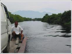 Driver in the mangrove swamp.