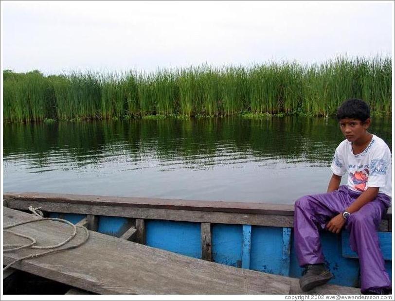 Boy and tall grasses, mangrove swamp.