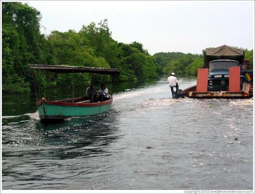 Passenger boat and car boat, mangrove swamp.