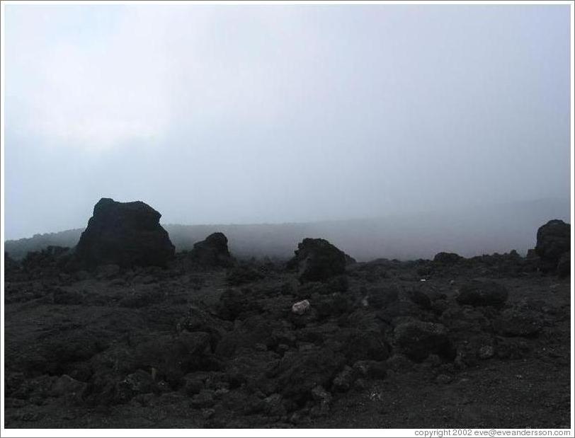 Barrenness near the top of Volcan Pacaya.