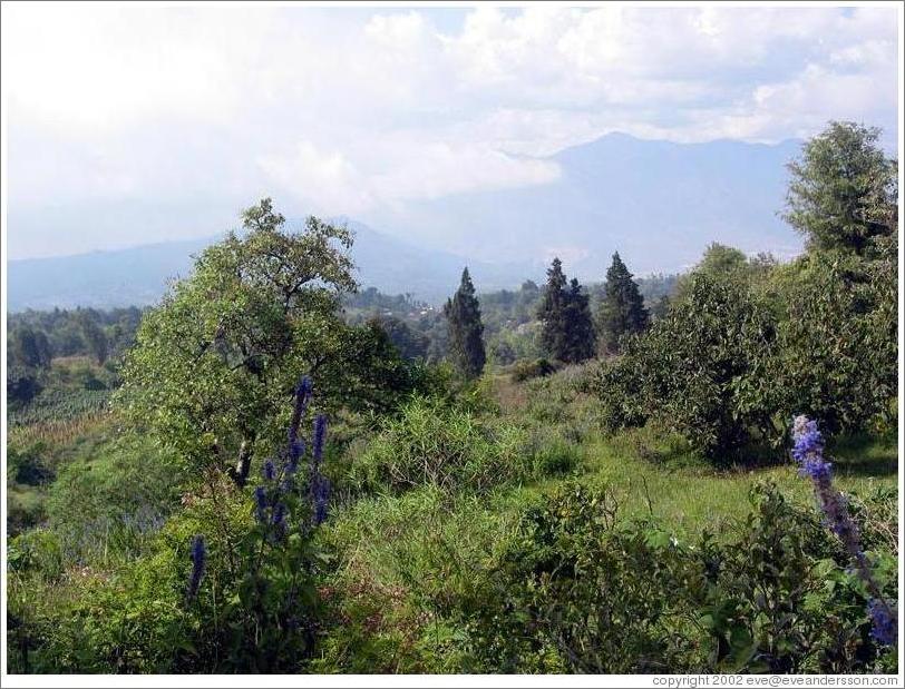 Scenery viewed from Volcan Pacaya.