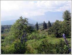 Scenery viewed from Volcan Pacaya.