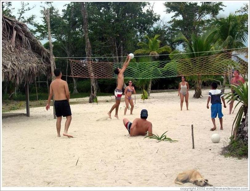 Volleyball.