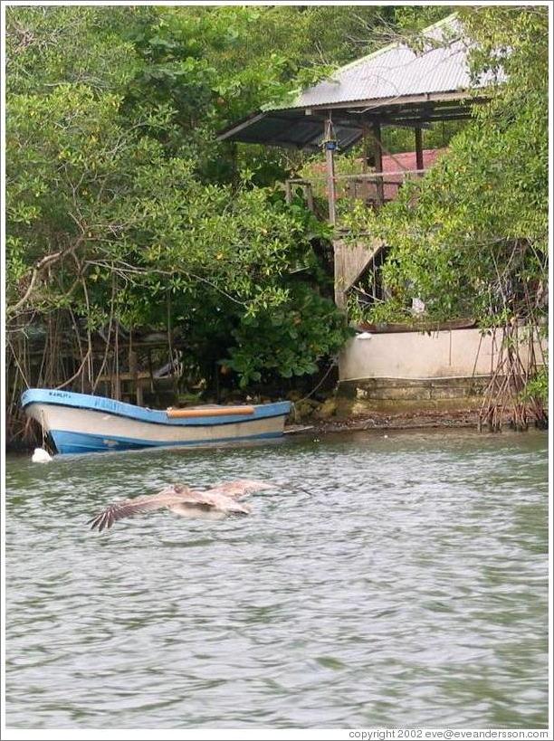 Rio Dulce.