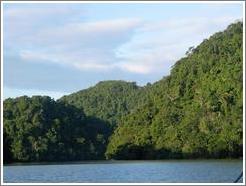 Lush mountains arising from the river.