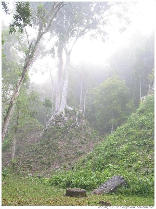 Tikal.  Under this hill lies a temple.  Plaza of the 7 Temples.