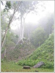 Tikal.  Under this hill lies a temple.  Plaza of the 7 Temples.