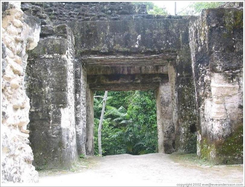Tikal.  Doorway within Grupo G.