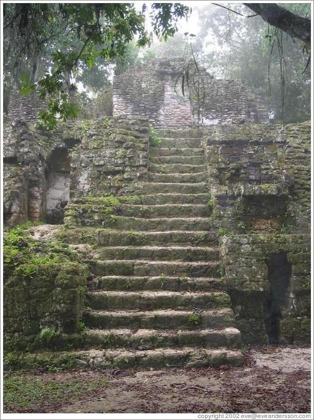 Tikal.  Plaza of the Seven Temples.