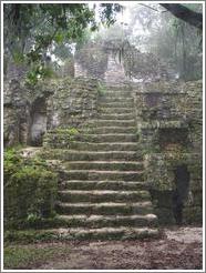 Tikal.  Plaza of the Seven Temples.