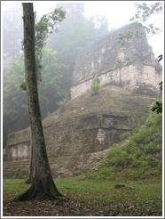 Tikal.  Plaza of the Seven Temples.