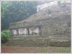 Tikal.  Plaza of the Seven Temples.