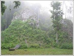 Tikal.  Plaza of the Seven Temples.