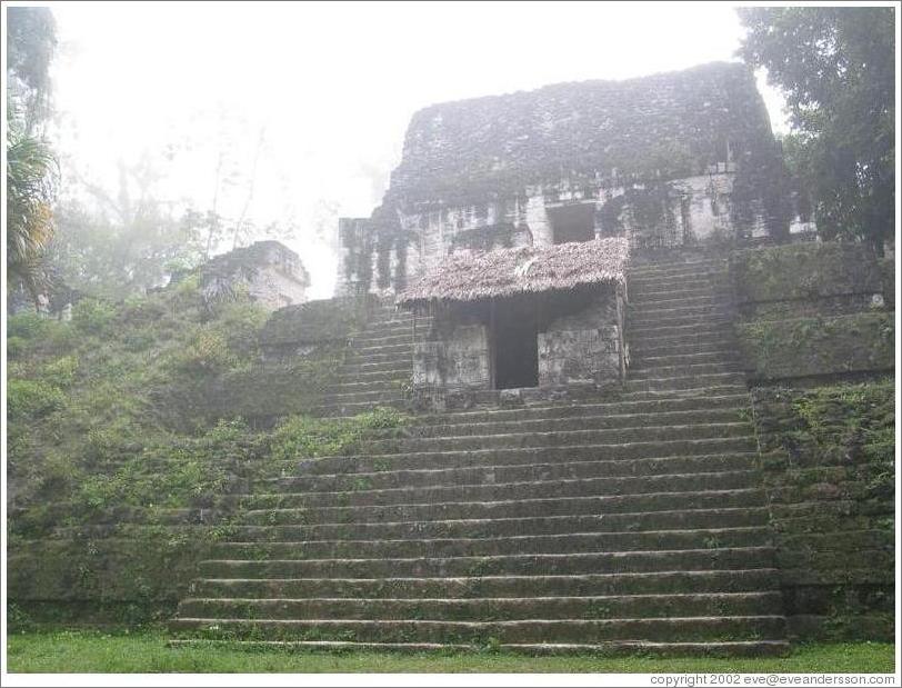 Tikal.  Plaza of the Seven Temples.