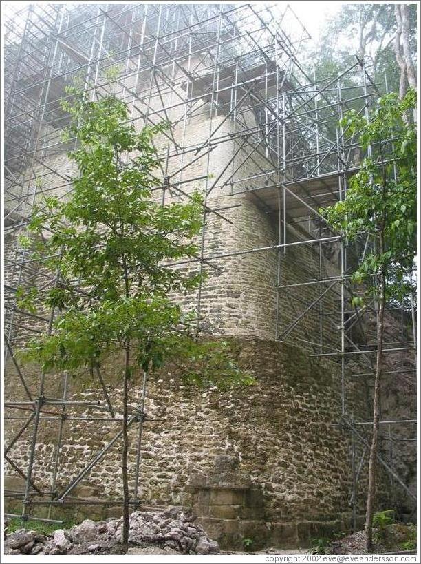 Tikal.  Templo V, undergoing restoration.