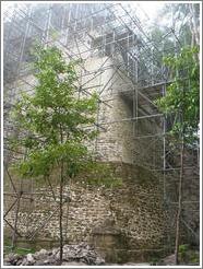 Tikal.  Templo V, undergoing restoration.