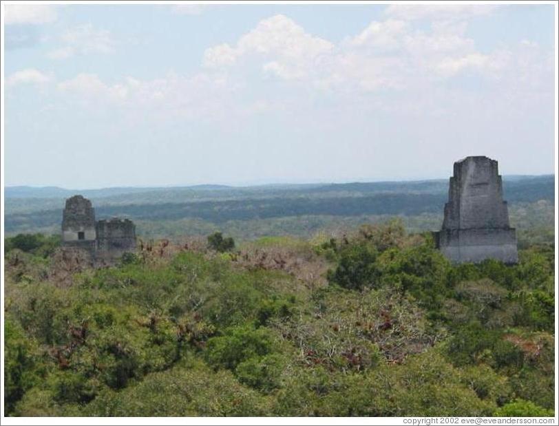 Tikal.  Templos I, II, and III, as viewed from Templo IV.