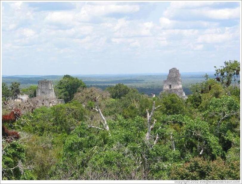 Tikal.  Templos I and II, as viewed from the big pyramid at Mundo Perdido.