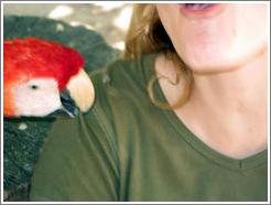 Macaw biting Eve.