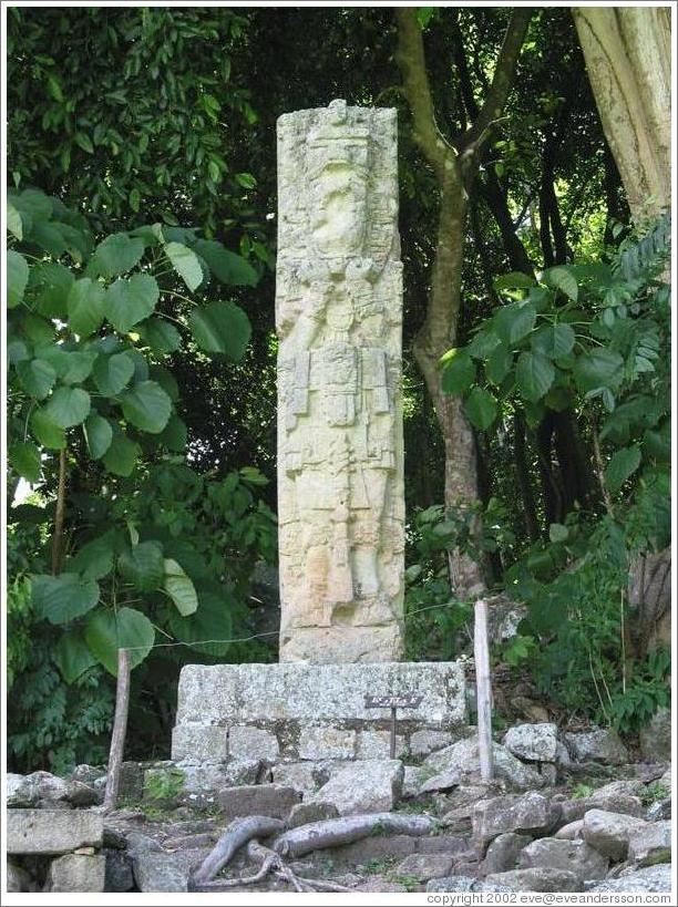 Estela E.  Gran Plaza.