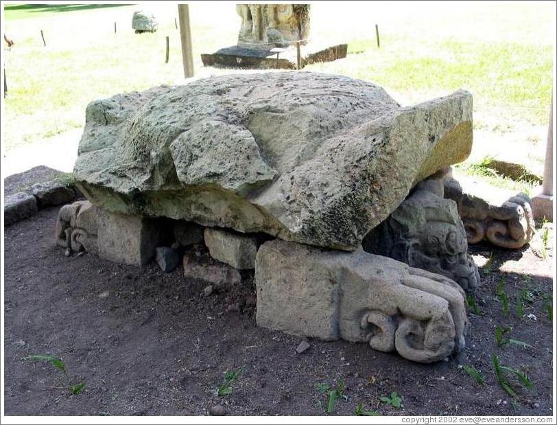 Turtle.  Gran Plaza.