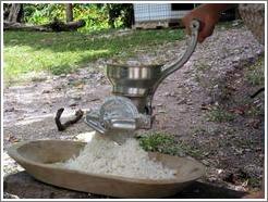 Los Sapos.  Hacienda San Lucas.  Grinding corn.