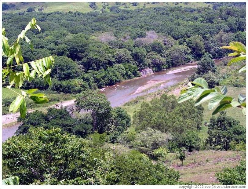 Trail to Los Sapos.  River.