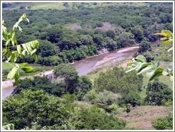 Trail to Los Sapos.  River.