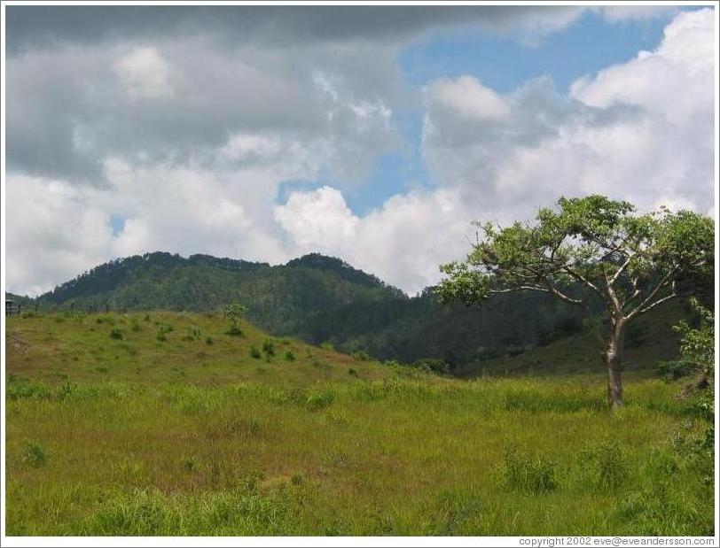 Area surrounding the ruins.