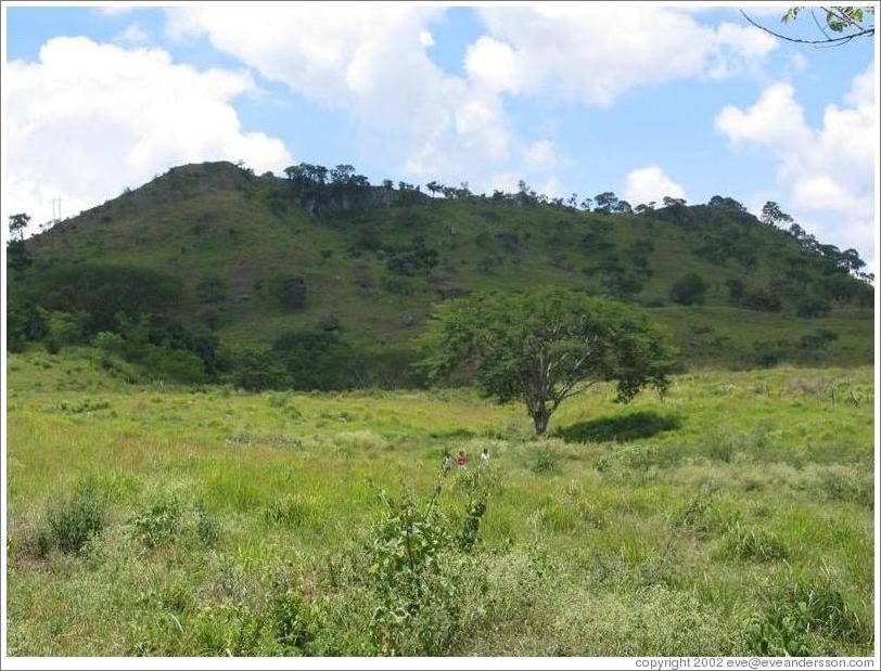 Area surrounding the ruins.