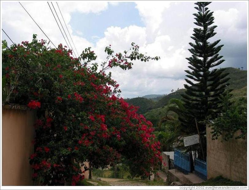 Street in front of hotel.