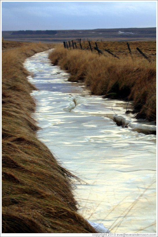 ??fur (hummocks, or mounds of earth) covered by wild grasses, and a frozen drainage ditch.