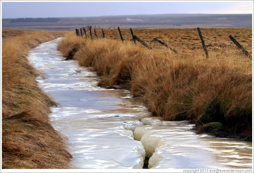 ??fur (hummocks, or mounds of earth) covered by wild grasses, and a frozen drainage ditch.