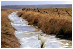 ??fur (hummocks, or mounds of earth) covered by wild grasses, and a frozen drainage ditch.