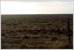 ??fur (hummocks, or mounds of earth) covered by wild grasses.