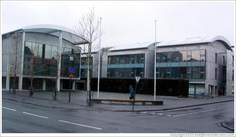 Ra&eth;h&uacute;s (City Hall) of Reykjavik.  The architecture is considered controversial, a little too bold-looking for the city's historic center.