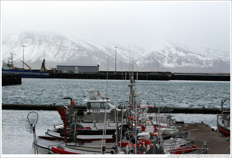 Boats in Reykjavik's harbor with snow-covered mountains in the distance.