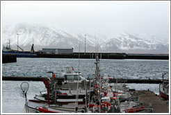 Boats in Reykjavik's harbor with snow-covered mountains in the distance.