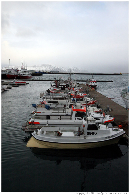 Boats in Reykjavik's harbor with snow-covered mountains in the distance.