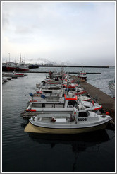 Boats in Reykjavik's harbor with snow-covered mountains in the distance.