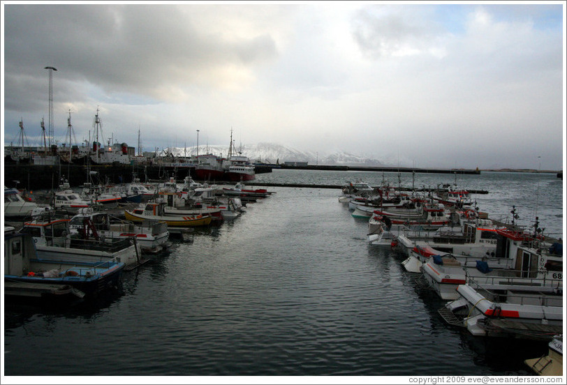 Boats in Reykjavik's harbor with snow-covered mountains in the distance.