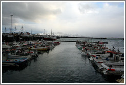 Boats in Reykjavik's harbor with snow-covered mountains in the distance.