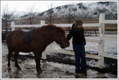Girl and Icelandic horse.