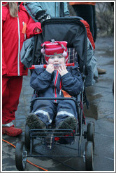 Reykjavik protest.  Child with a recorder (wind instrument).