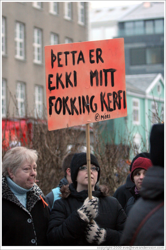 Reykjavik protest.  The sign says "?tta er ekki mitt fokking kerfi" ("This is not my f***ing system").