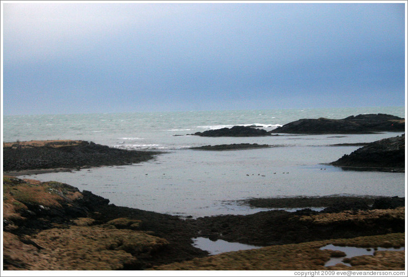 Iceland's volcanic coast.