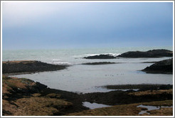 Iceland's volcanic coast.