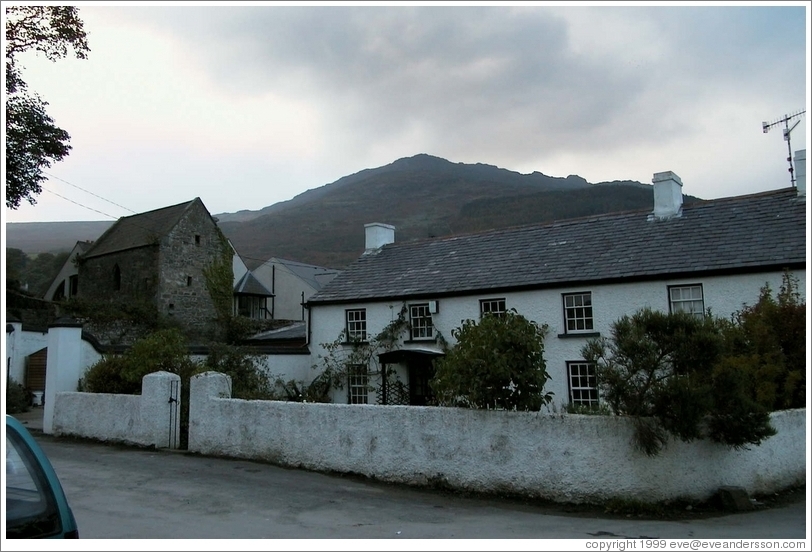 Thatched roof house.