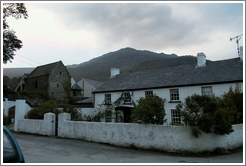 Thatched roof house.