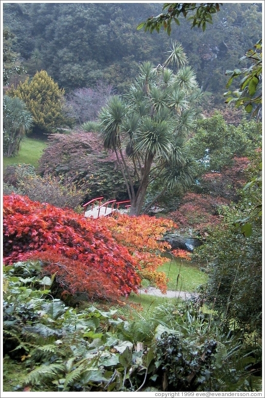 Japanese garden.